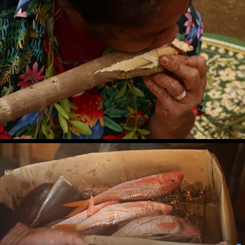 Vea Mafile'o, Digital Launima, 2018