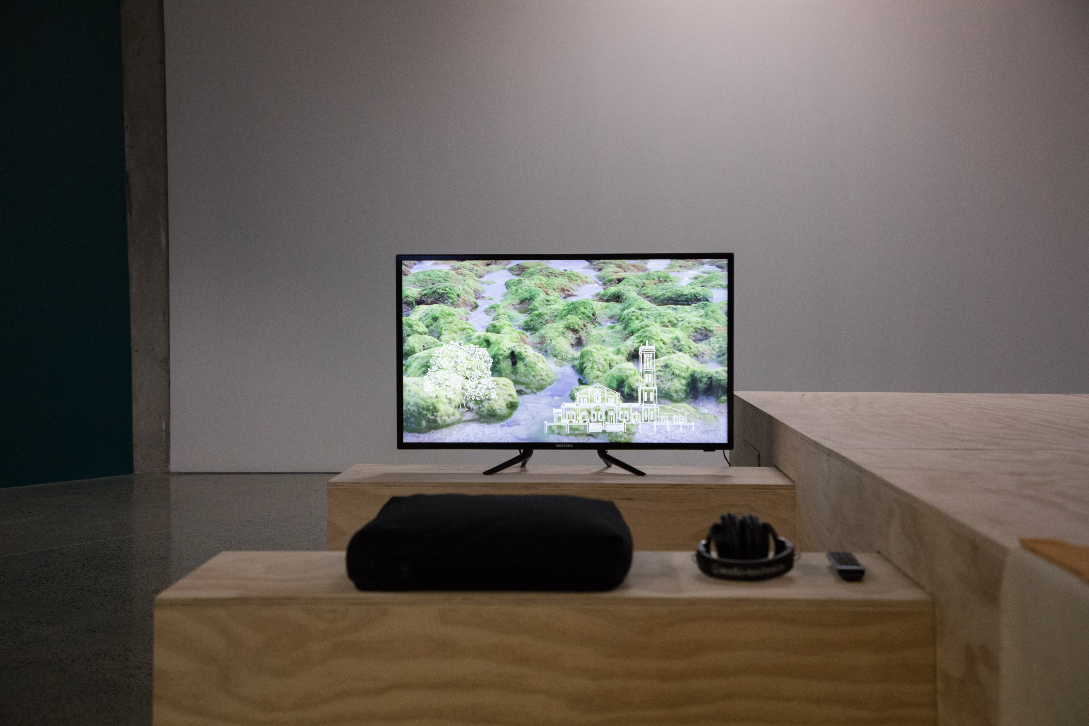 Emily Parr, Matariki Master of Visual Arts Graduate Show