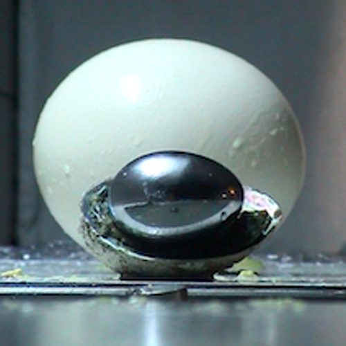 ReasonandRhyme_2011_Richard-Frater