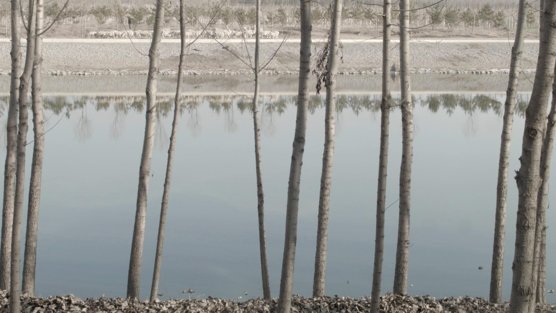 Zixuan Guo, video still