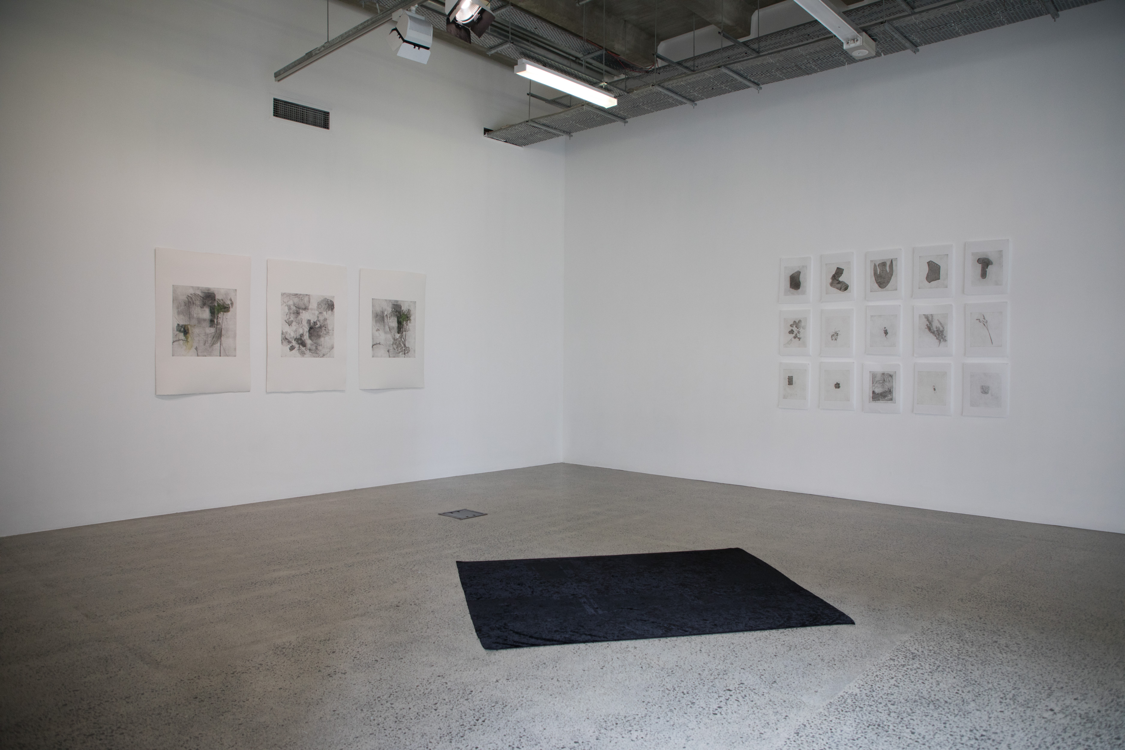 Luca Nicholas, Matariki Master of Visual Arts Graduate Show