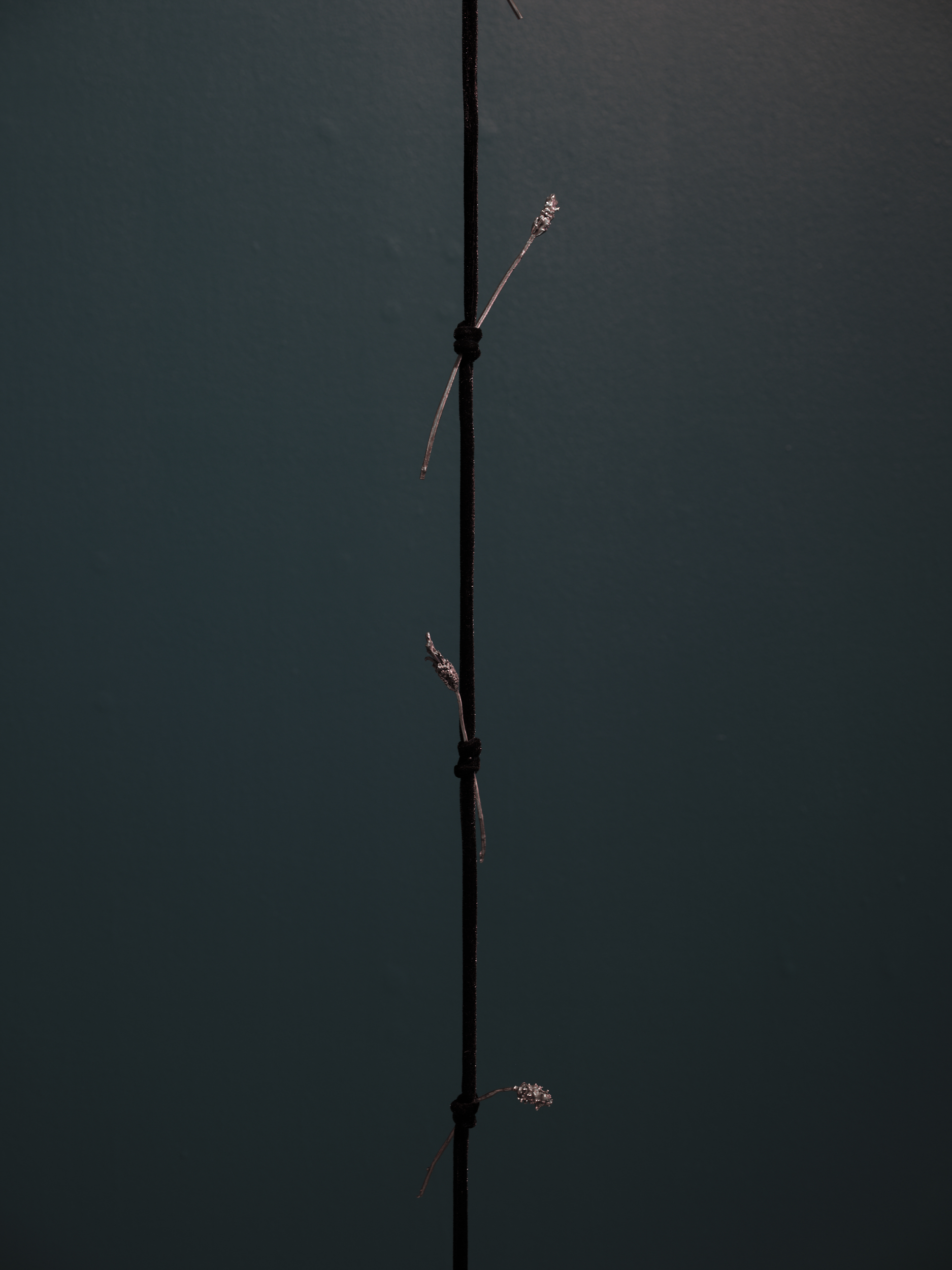 Speaking Surfaces, 2020